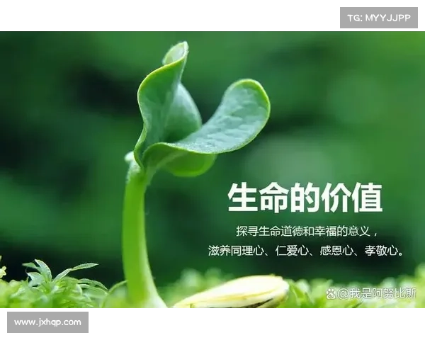 探索人生的无限可能与美好体验 发现生命的多彩与深度 探索人生的无限可能与美好体验 发现生命的多彩与深度